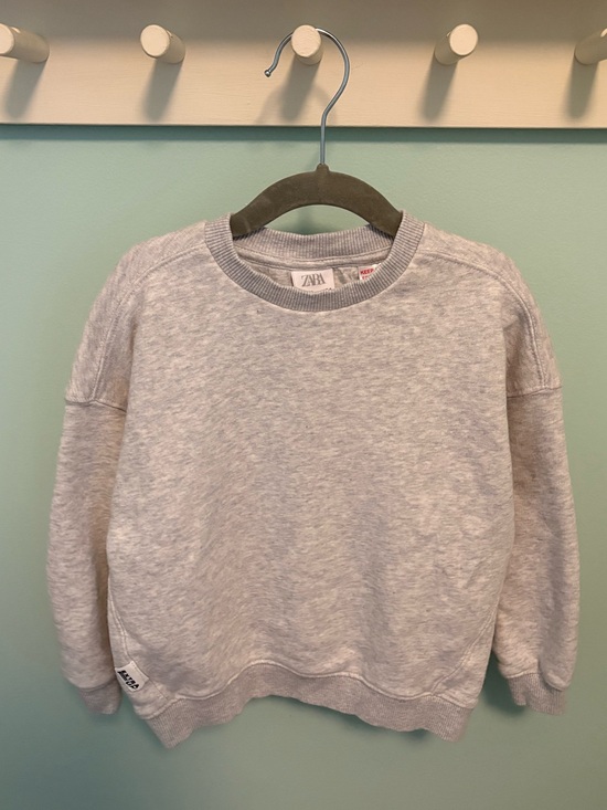 Zara Other - Zara Plain Grey Sweatshirt